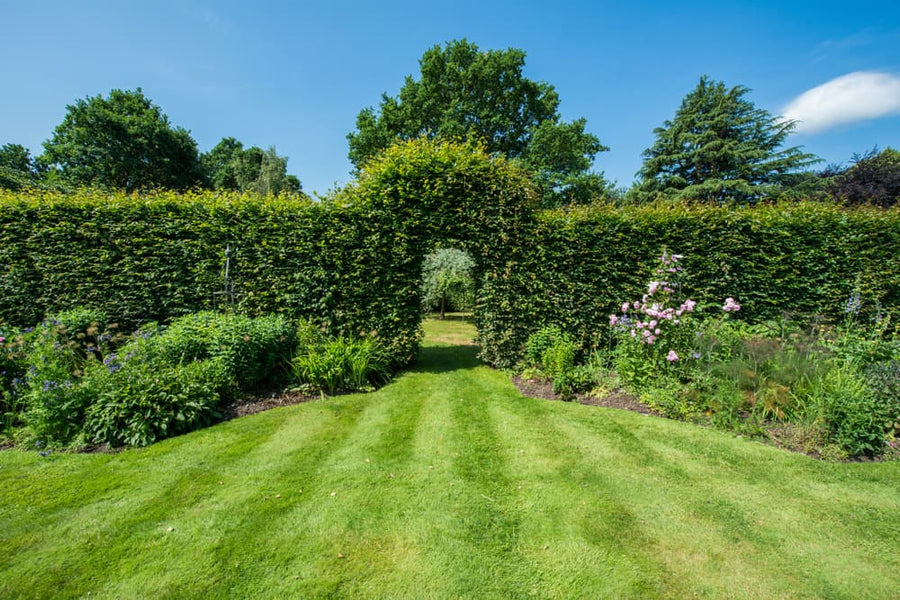 7 Beautiful Garden Hedge Design Ideas
